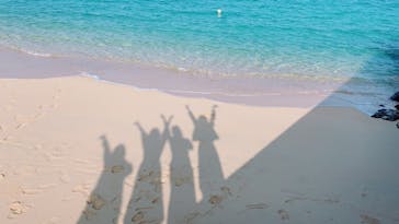 武藤潜水に投稿された画像（2019/3/12）