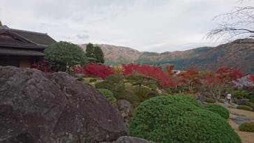 箱根美術館に投稿された画像（2017/12/11）