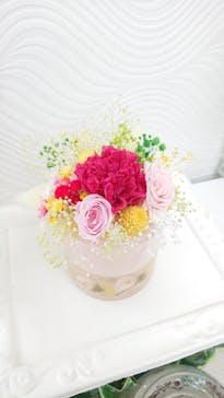 ずこうしつ〜sugamo〜に投稿された画像（2019/4/21）