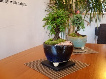 キマルスペースに投稿された画像（2018/6/3）