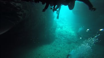 武藤潜水に投稿された画像（2019/4/4）