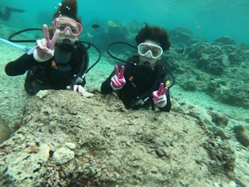 武藤潜水に投稿された画像（2019/2/27）