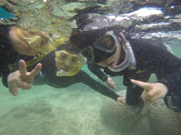 武藤潜水に投稿された画像（2019/4/3）