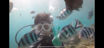 青の洞窟専門店　沖縄ダイビングショップ和に投稿された画像（2018/7/10）