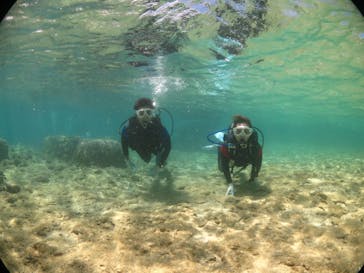 diving&workshop IHANASHI（ダイビングアンドワークショップイハナシ）に投稿された画像（2018/9/3）