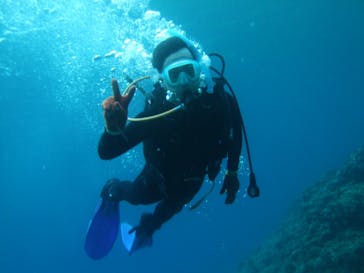 沖縄ダイビングショップシーモールに投稿された画像（2019/3/21）