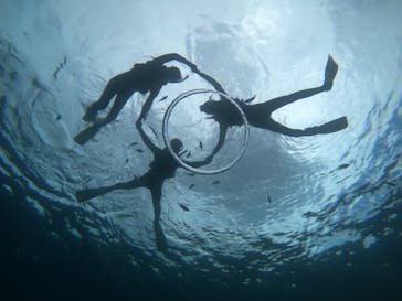 武藤潜水に投稿された画像（2019/5/31）