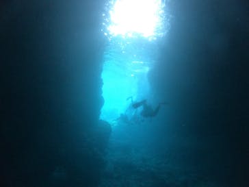 武藤潜水に投稿された画像（2019/3/20）