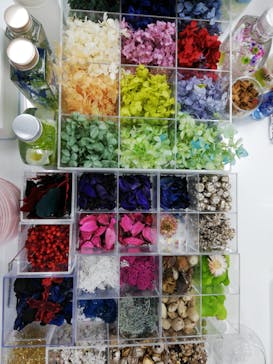 ずこうしつ〜sugamo〜に投稿された画像（2019/2/19）