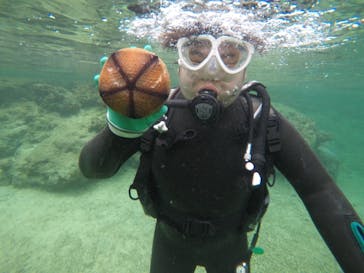 青の洞窟専門店　沖縄ダイビングショップ和に投稿された画像（2018/1/31）