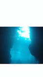 青の洞窟専門店　沖縄ダイビングショップ和に投稿された画像（2018/6/9）