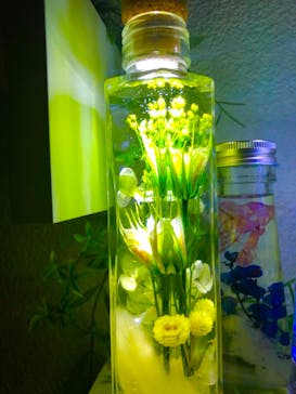 ずこうしつ〜sugamo〜に投稿された画像（2019/2/19）