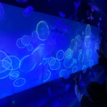 すみだ水族館に投稿された画像（2019/5/4）