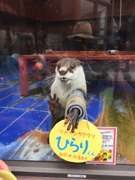 ゼロ距離水族館 伊勢シーパラダイスに投稿された画像（2019/6/7）