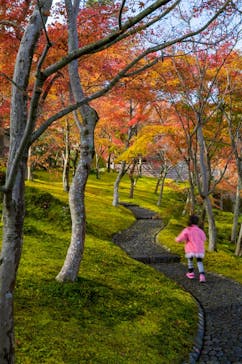 箱根美術館に投稿された画像（2018/11/24）