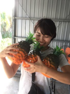 ナゴパイナップルパークに投稿された画像（2018/1/5）