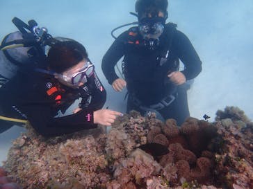 マーヴェラスプレジャー石垣に投稿された画像（2017/10/3）