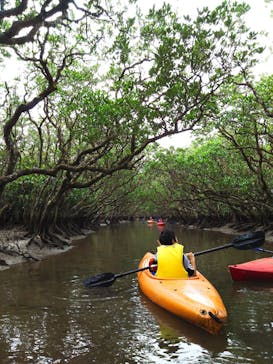 マングローブ茶屋に投稿された画像（2018/12/31）