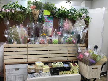 ずこうしつ〜sugamo〜に投稿された画像（2019/2/9）