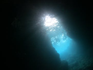 ドロップイン 沖縄に投稿された画像（2019/3/29）