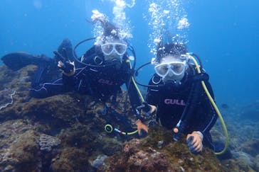 屋久島自然案内に投稿された画像（2019/4/16）