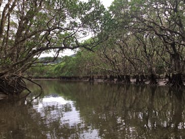 マングローブ茶屋に投稿された画像（2018/12/8）