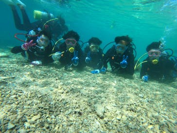 武藤潜水に投稿された画像（2019/2/26）