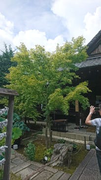 東福寺塔頭 勝林寺に投稿された画像（2018/8/13）