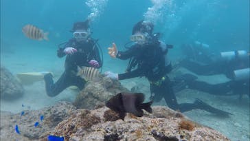 ドロップイン 沖縄に投稿された画像（2019/3/23）