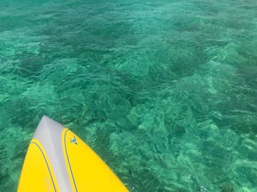 COCONUTS CLUB（ココナッツクラブ）に投稿された画像（2019/5/24）