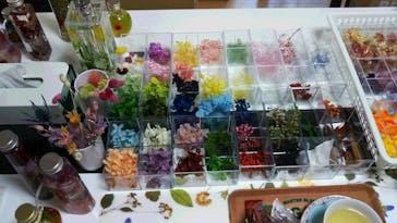 Y's calm feeling（ワイズカルムフィーリング）に投稿された画像（2018/12/14）