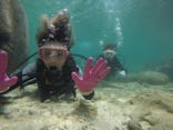 武藤潜水に投稿された画像（2019/5/21）