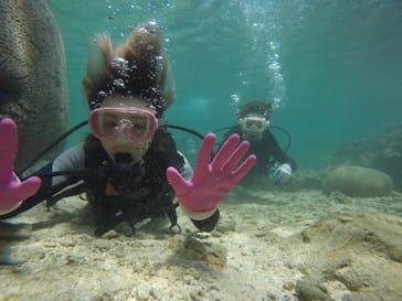 武藤潜水に投稿された画像（2019/5/21）