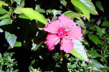 石垣島 ADVENTURE PiPi（イシガキジマアドベンチャーピピ）に投稿された画像（2019/2/26）