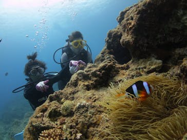 ドロップイン 沖縄に投稿された画像（2019/6/4）