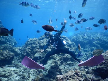 青の洞窟専門店　沖縄ダイビングショップ和に投稿された画像（2019/5/15）