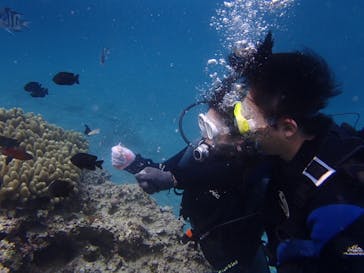 沖縄マリンクラブ結に投稿された画像（2017/11/25）