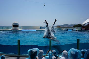 鴨川シーワールドに投稿された画像（2018/4/22）