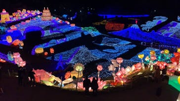 伊豆ぐらんぱる公園に投稿された画像（2018/12/21）