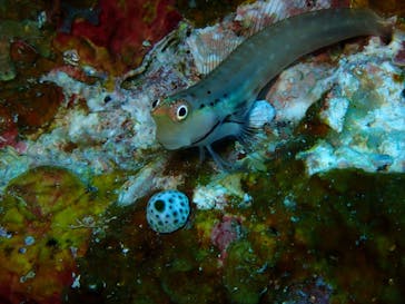 マリンショップtaitaiに投稿された画像（2019/2/19）