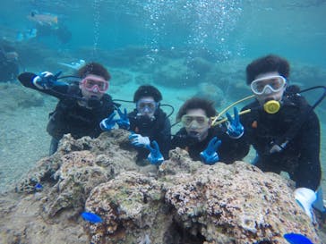 武藤潜水に投稿された画像（2019/4/28）