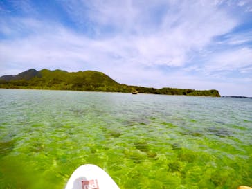 石垣島 ADVENTURE PiPi（イシガキジマアドベンチャーピピ）に投稿された画像（2019/3/5）