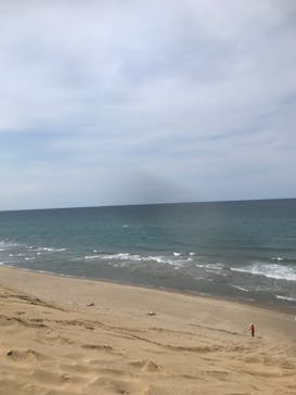 鳥取砂丘サンドボードスクール事業部に投稿された画像（2019/4/12）