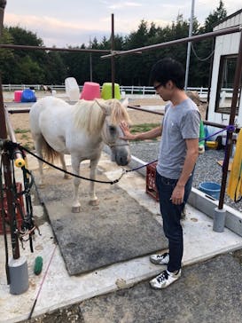 ハッピーホースファームに投稿された画像（2018/9/18）