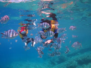 diving&workshop IHANASHI（ダイビングアンドワークショップイハナシ）に投稿された画像（2018/7/24）