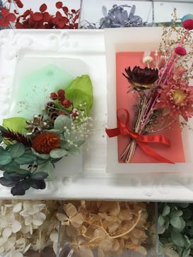 ずこうしつ〜sugamo〜に投稿された画像（2019/3/11）