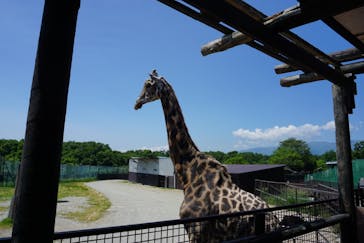 那須サファリパークに投稿された画像（2018/6/2）