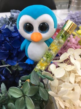 ずこうしつ〜sugamo〜に投稿された画像（2019/2/11）