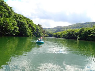 西表島 ADVENTURE PiPi（アドベンチャーピピ）に投稿された画像（2019/2/7）