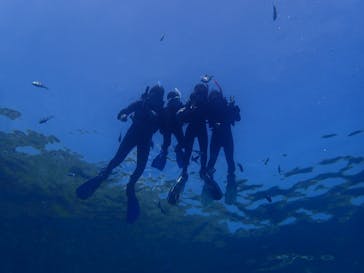 ダイビングショップ Sea Free（シーフリー）に投稿された画像（2018/8/26）